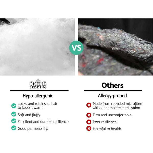 Giselle Double Mattress Topper Pillowtop 1000GSM Microfibre Filling Protector Giselle