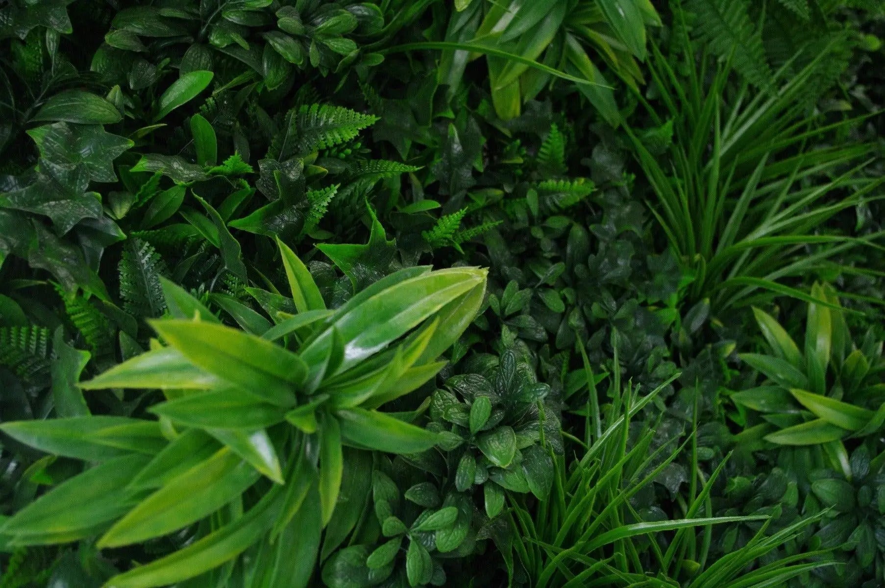 Green Tropics UV Stabilised 1m X 1m Deals499