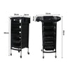 Hairdressing Salon Trolley Beauty Salon Spa Rolling Storage Cart 6 Tier Deals499