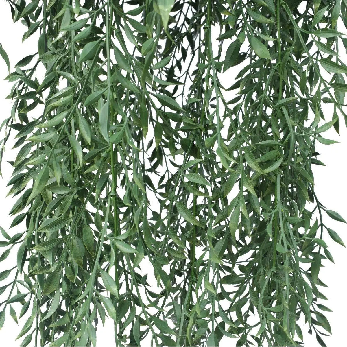 Hanging Fern Basket 110 cm Deals499
