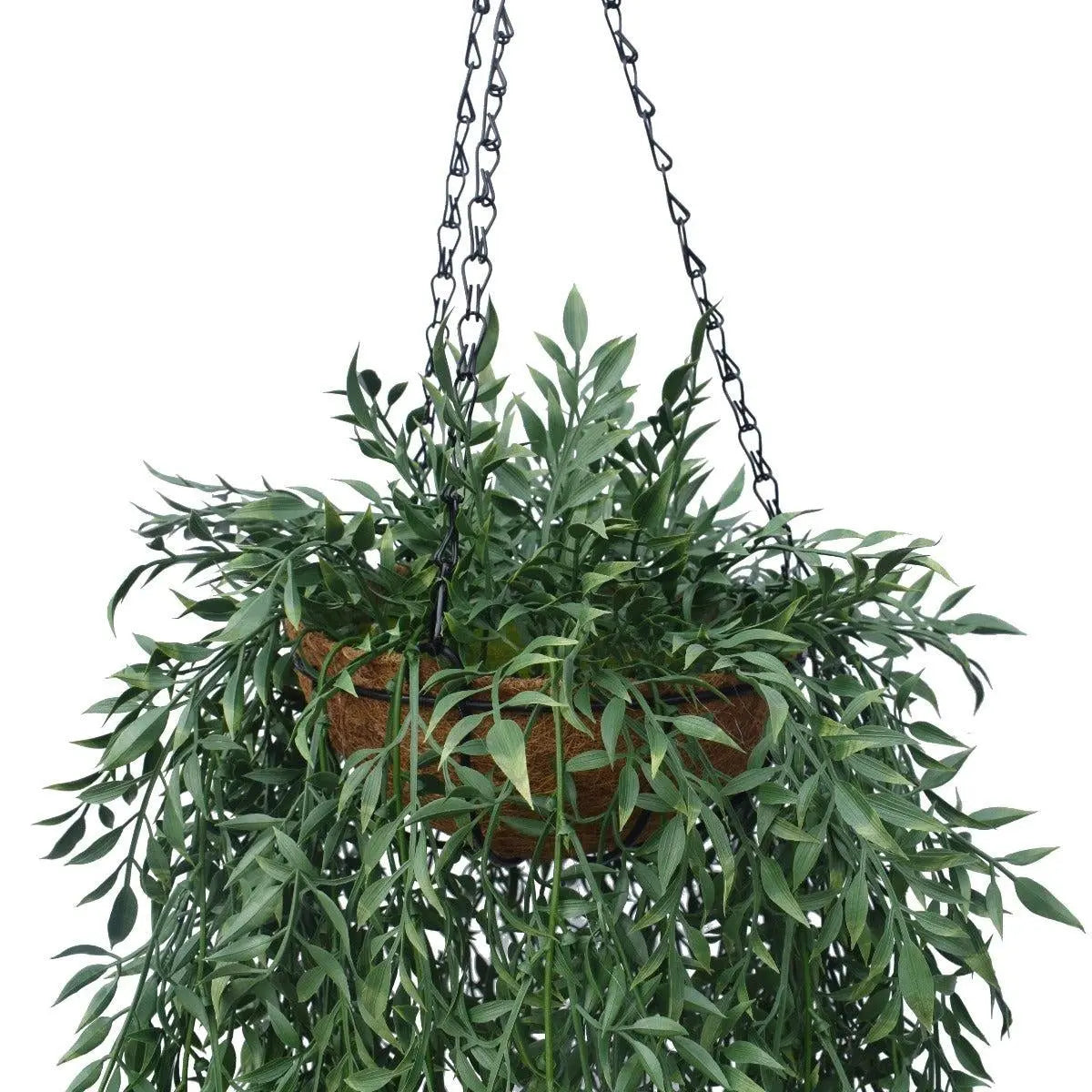 Hanging Fern Basket 110 cm Deals499