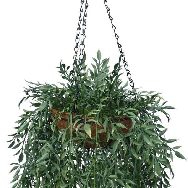 Hanging Fern Basket 110 cm Deals499