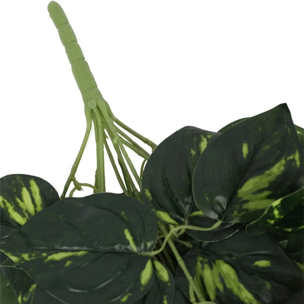 Heart Leaf Philodendron Hanging Creeper Bush 73cm Deals499