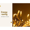 Jingle Jollys 100M 500 LED Christmas String Lights Warm White Deals499