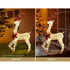 Jingle Jollys Christmas Lights Motif LED Rope Reindeer Waterproof Outdoor Deals499