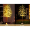 Jingle Jollys Christmas Tree 2.1M 480 LED Trees With Lights Warm White Deals499