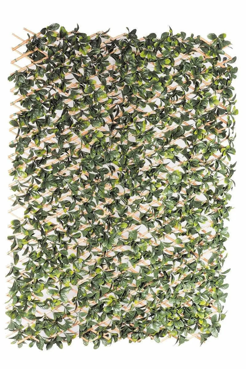 Laurel Hedge Extendable Light Timber Trellis / Screen 2 Meter By 1 Meter UV Stabilised Deals499