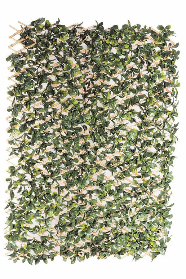 Laurel Hedge Extendable Light Timber Trellis / Screen 2 Meter By 1 Meter UV Stabilised Deals499