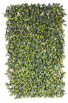 Laurel Hedge Extendable Light Timber Trellis / Screen 2 Meter By 1 Meter UV Stabilised Deals499