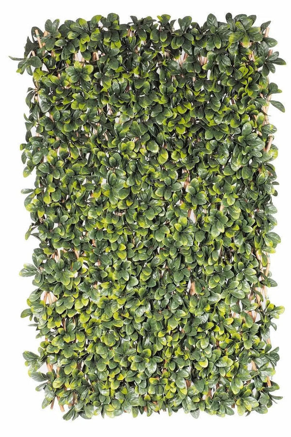 Laurel Hedge Extendable Light Timber Trellis / Screen 2 Meter By 1 Meter UV Stabilised Deals499