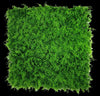 Mediterranean Fern Vertical Garden UV Stabilised 1m X 1m Deals499