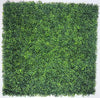 Mixed Boxwood Hedge Panels / Screens UV Resistant 1m x 1m Deals499