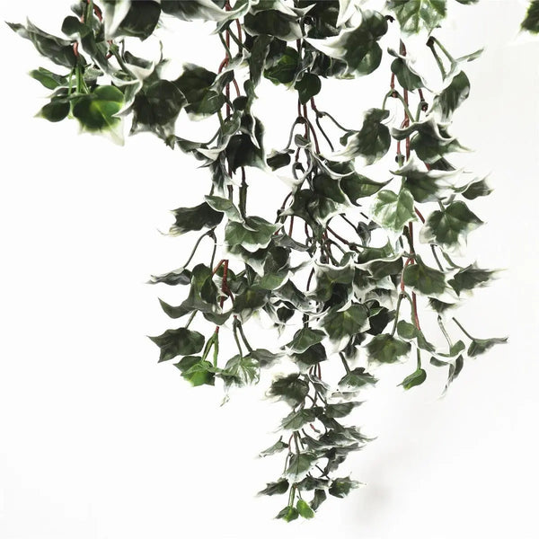 Mixed Green and White Tipped Ivy Bush 80cm UV Resistant Deals499