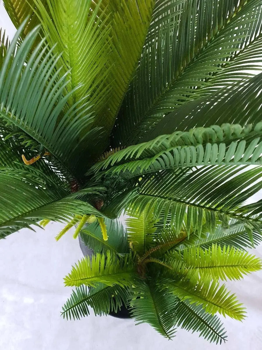 Multi Trunk Sago Cycad 130cm Deals499