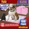 PaWz 100pcs 60x60cm Puppy Pet Dog Indoor Cat Toilet Training Pads Absorbent Pink Deals499