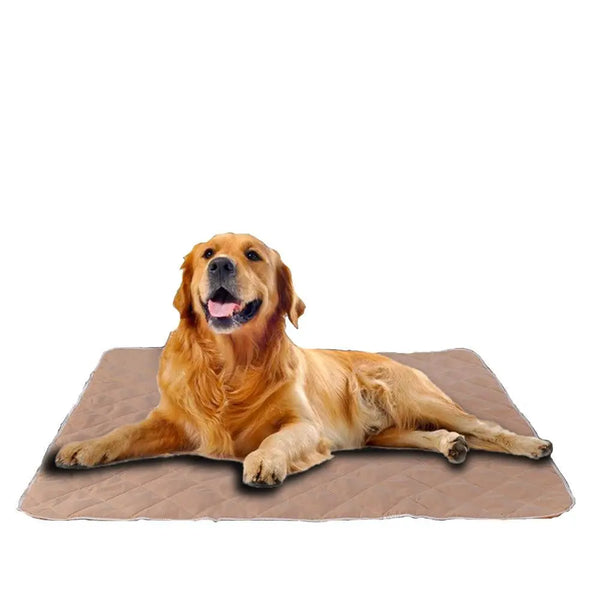 PaWz 2 Pcs 120x180 cm Reusable Waterproof Pet Puppy Toilet Training Pads Deals499