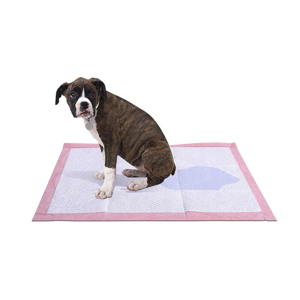 PaWz 400 Pcs 60x60 cm Pet Puppy Toilet Training Pads Absorbent Lavender Scent Deals499