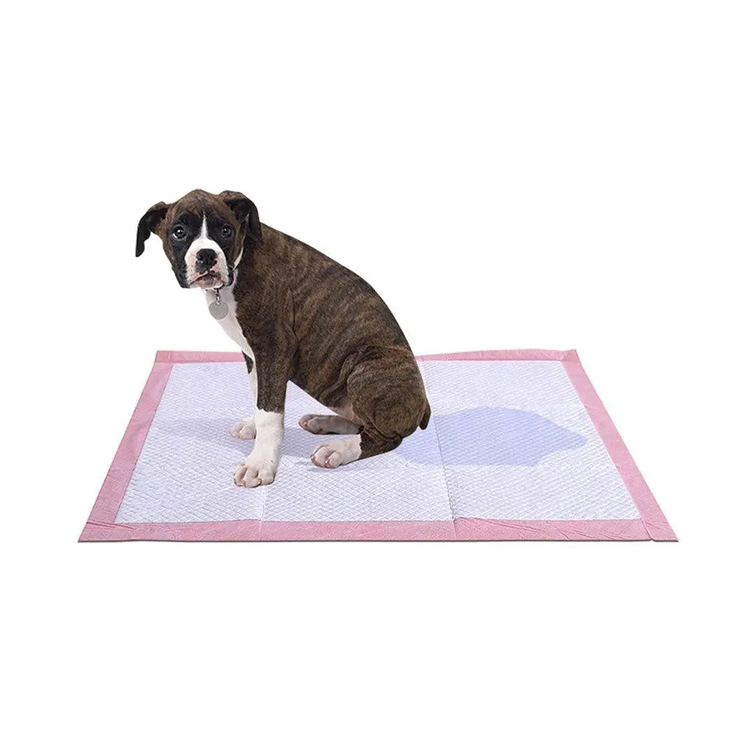 PaWz 50 Pcs 60x60 cm Pet Puppy Toilet Training Pads Absorbent Lavender Scent Deals499