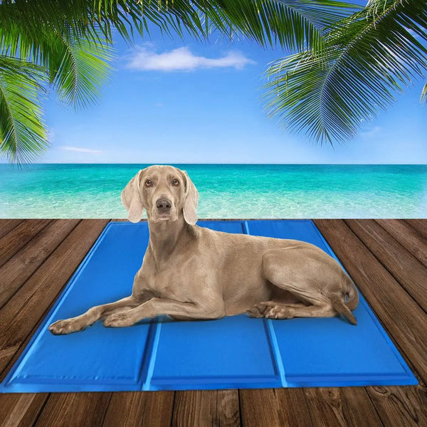 PaWz Pet Cooling Mat Gel Mats Bed Cool Pad Puppy Cat Non-Toxic Beds Summer Pads 90x50 Deals499