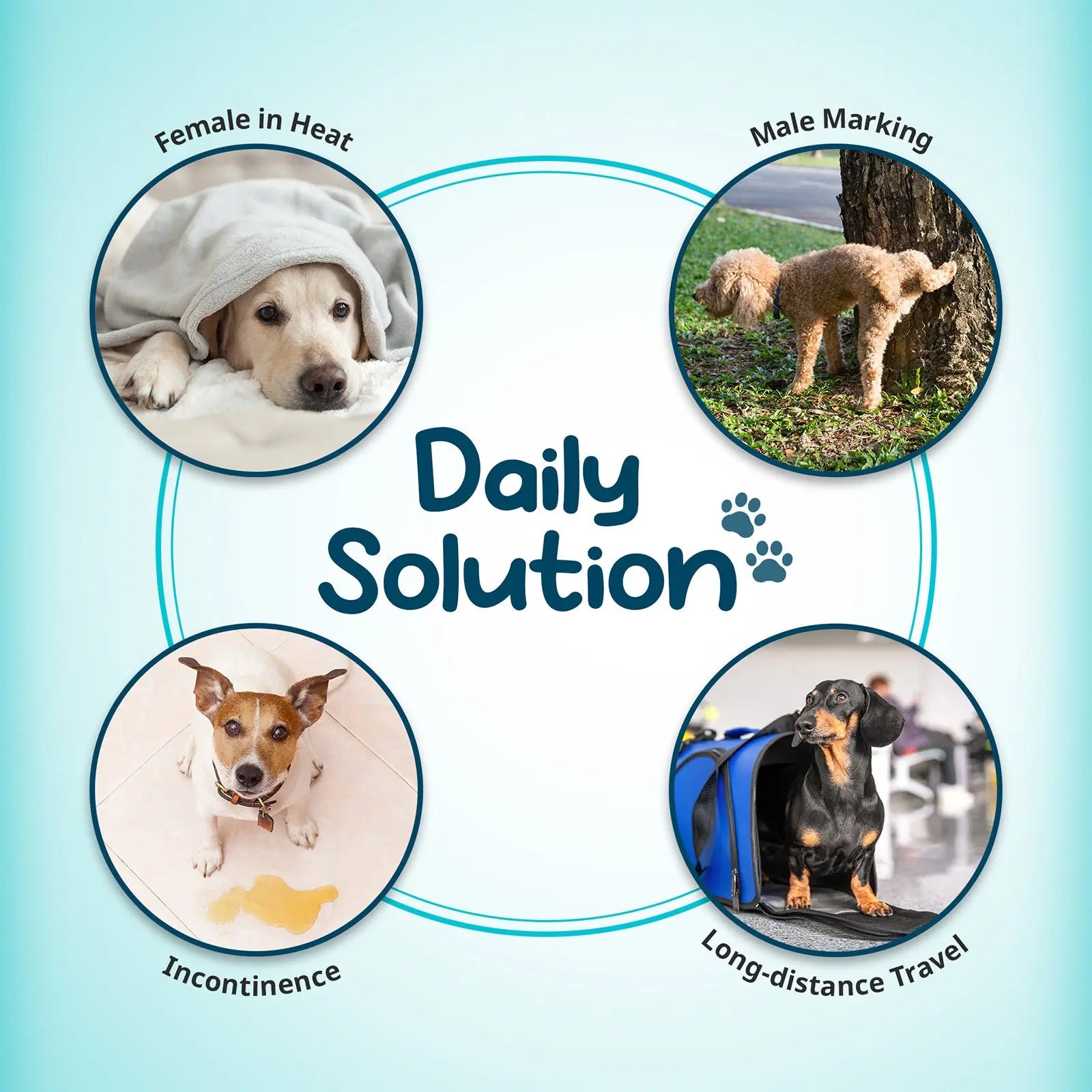 PawPang 100 Ct XS Pet Dog Diaper Liners Booster Pads Disposable Adhesive Deals499