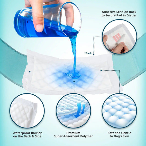 PawPang L Dog Wrap Reusable Male + 10 Ct M Diaper Booster Pads Disposable Deals499