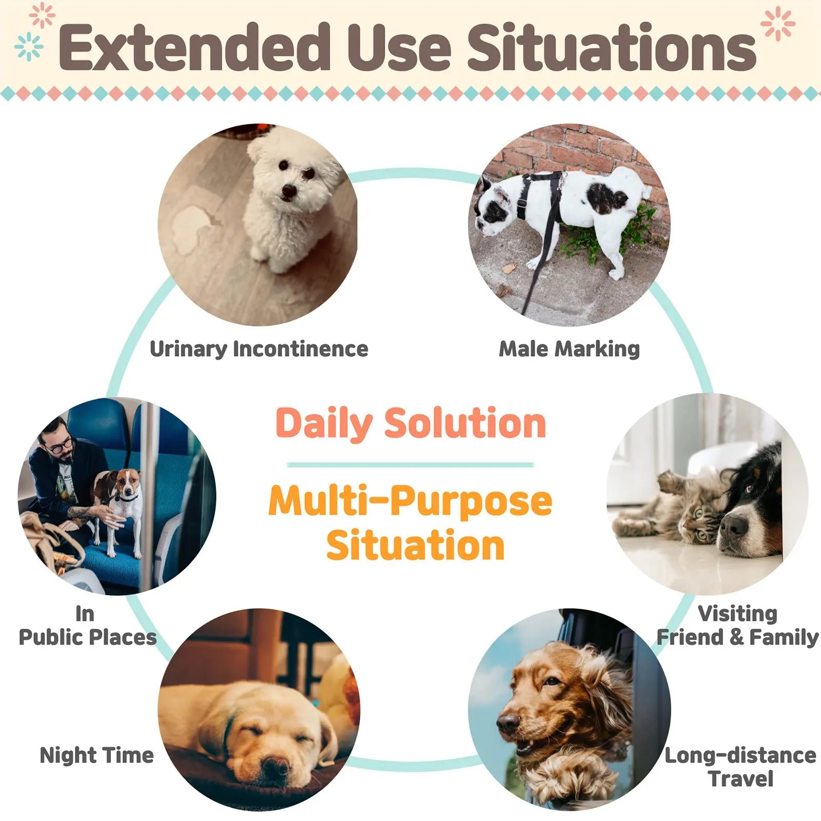 PawPang L Dog Wrap Reusable Male + 10 Ct M Diaper Booster Pads Disposable Deals499