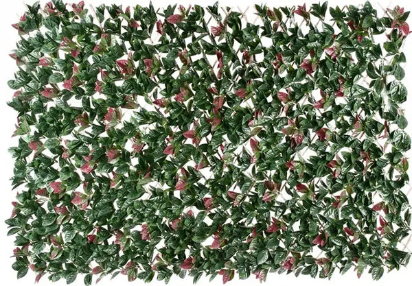 Photinia Hedge Extendable Trellis / Screen 2 Meter By 1 Meter UV Stabilised Deals499