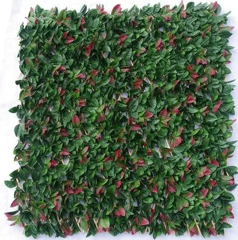 Photinia Hedge Extendable Trellis / Screen 2 Meter By 1 Meter UV Stabilised Deals499