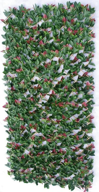 Photinia Hedge Extendable Trellis / Screen 2 Meter By 1 Meter UV Stabilised Deals499
