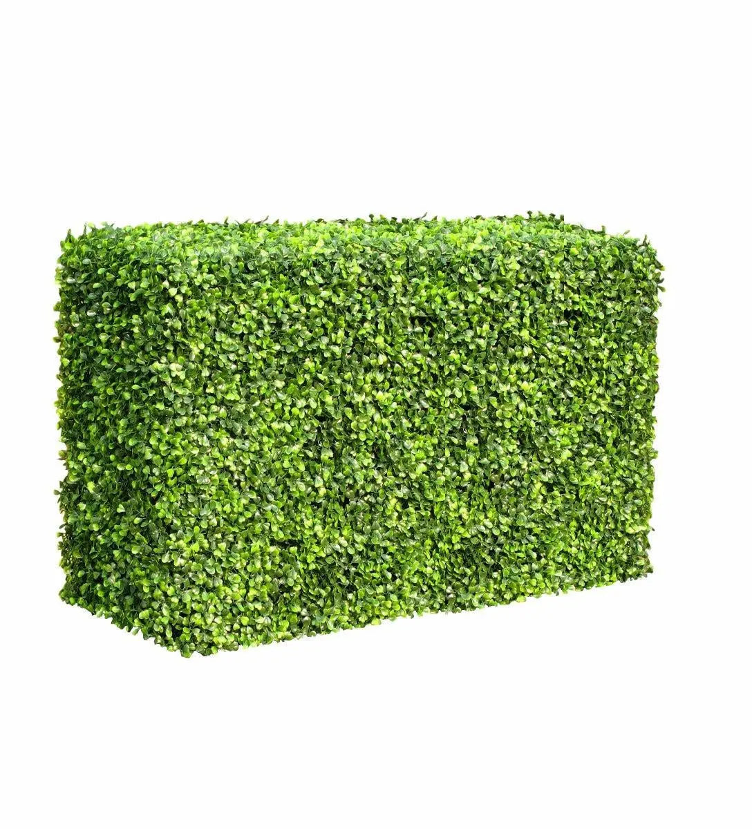 Portable Boxwood Hedge 1m Long 50cm High 30cm Deep Deals499