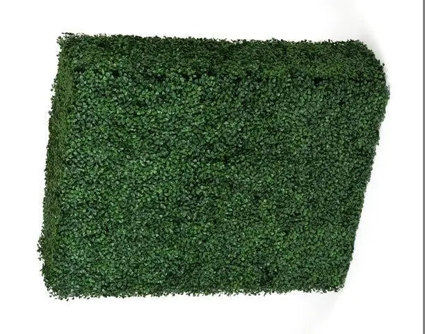 Portable Boxwood Hedge UV Stabilised 75cm High 100cm Long Deals499