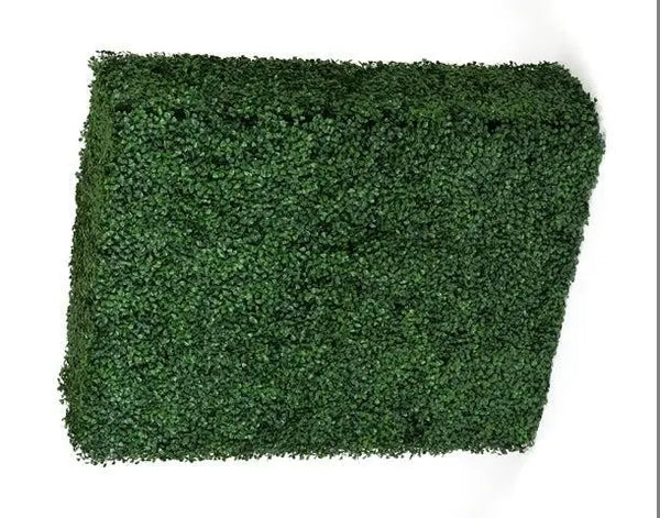 Portable Boxwood Hedge UV Stabilised 75cm High 100cm Long Deals499