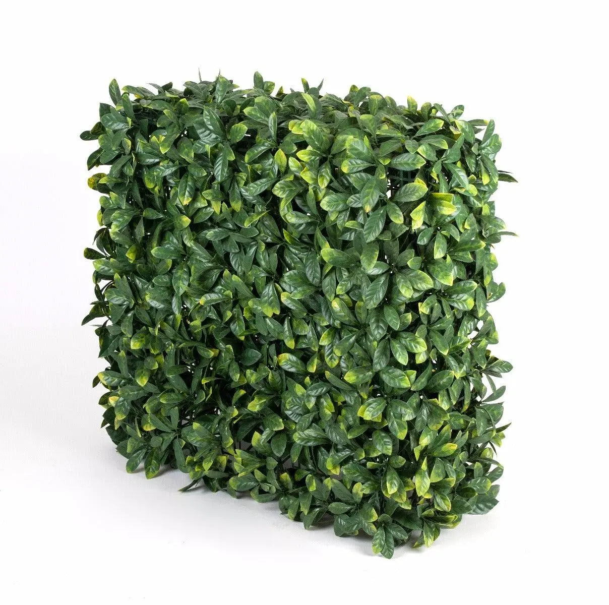 Portable Laurel Hedge UV Stabilised 75cm X 75cm Deals499