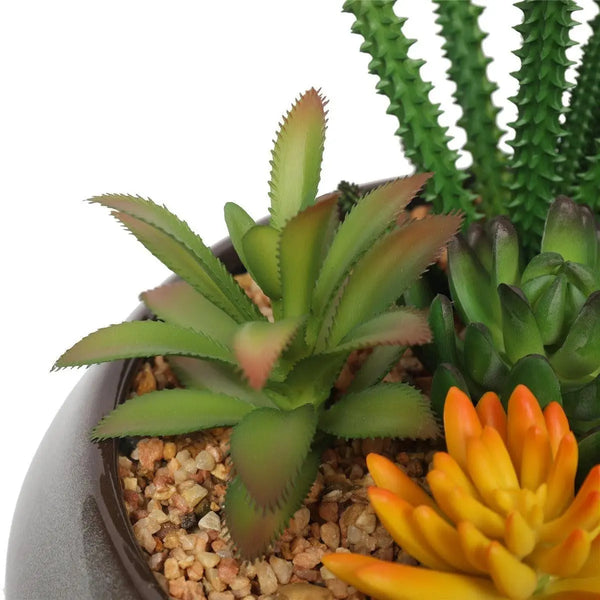 Potted Artificial Succulents with Round Decorative Bowl 19cm Deals499