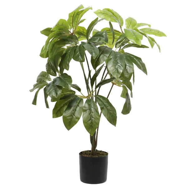 Potted Artificial Umbrella Tree 65cm Deals499