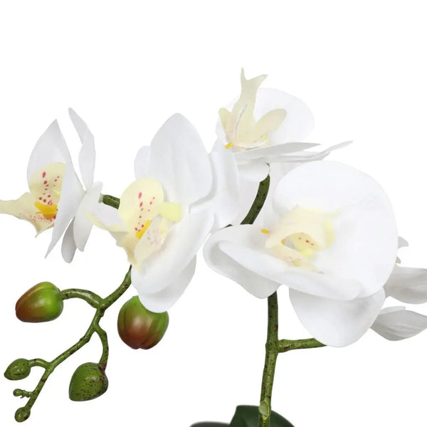 Potted Single Stem White Phalaenopsis Orchid with Decorative Pot 35cm Deals499