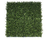 Premium Natural Buxus Hedge Panels UV Resistant 1m x 1m Deals499