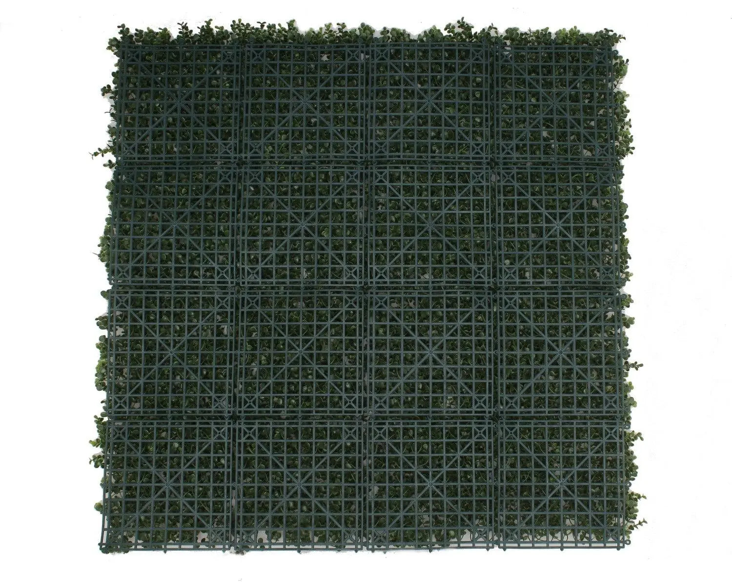 Premium Natural Buxus Hedge Panels UV Resistant 1m x 1m Deals499