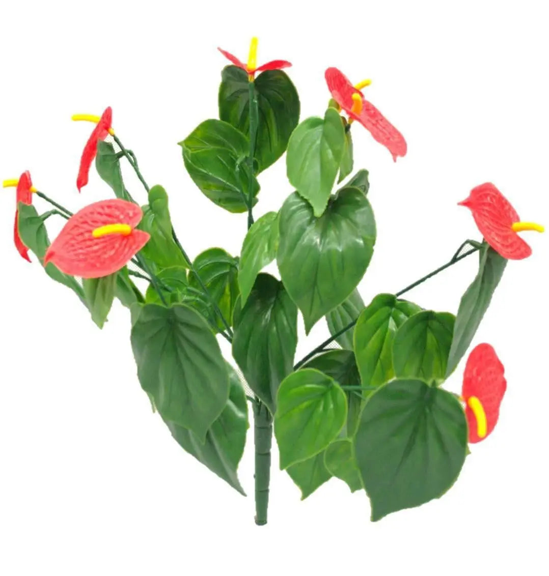 Red Anthurium Bunch UV Deals499