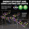 SAS Electrical 3m Reindeer & Sleigh Set Rope Light With Stands Multi-Colour Deals499