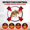 SAS Pest Control 48PCE Mice Rat Traps Peanut Scented Poison Free Non-Toxic Deals499