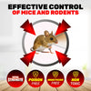 SAS Pest Control 96PCE Mice Rodent Traps Poison Free Non-Toxic 13.5 x 17.5cm Deals499