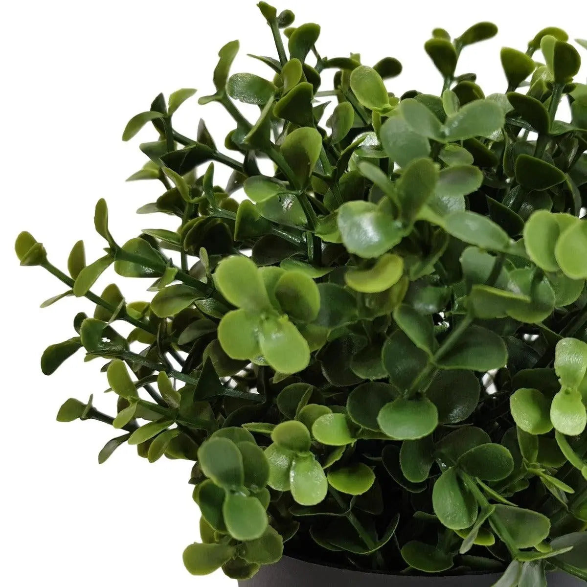 Small Potted Artificial Buxus Plant UV Resistant 20cm Deals499