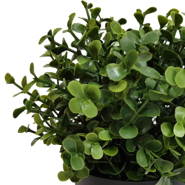 Small Potted Artificial Buxus Plant UV Resistant 20cm Deals499