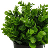 Small Potted Artificial Peperomia Plant UV Resistant 20cm Deals499