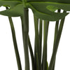 Split Philodendron (Split Leaf) 120cm Deals499