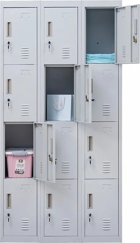 Standard locks 12 Door Locker for Office Gym - Light Grey Deals499