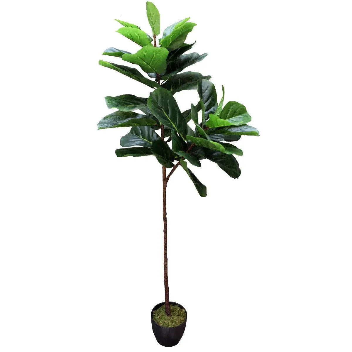 Tall Artificial Fiddle Leaf Fig 170cm Deals499
