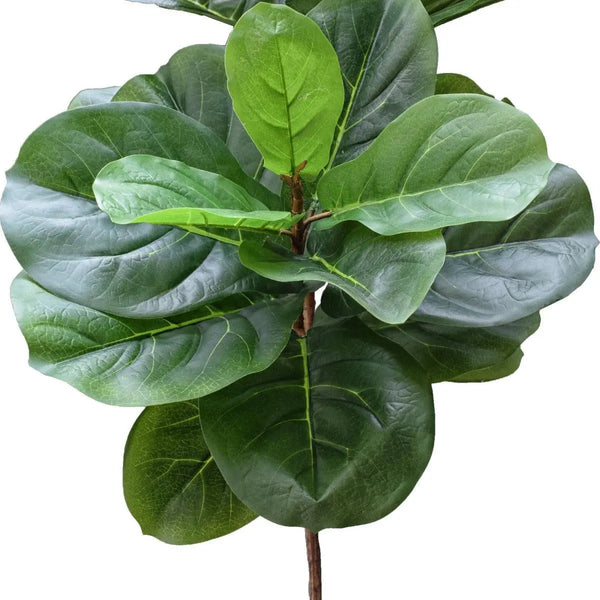 Tall Artificial Fiddle Leaf Fig 170cm Deals499
