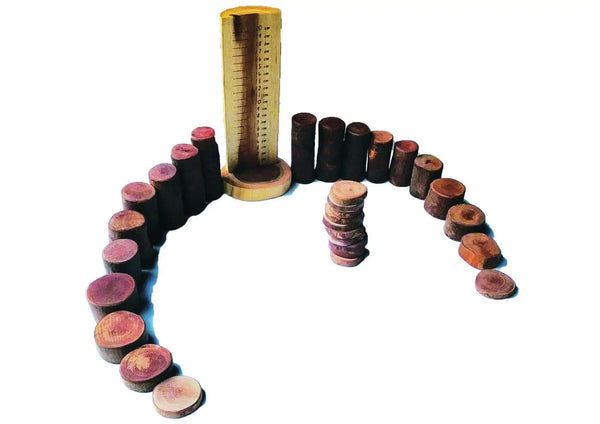 Tree Maths Set With Ruler Deals499